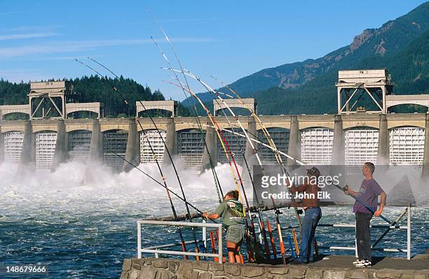 people fishing near bonneville dam spillway. - drei schluchten staudamm stock-fotos und bilder