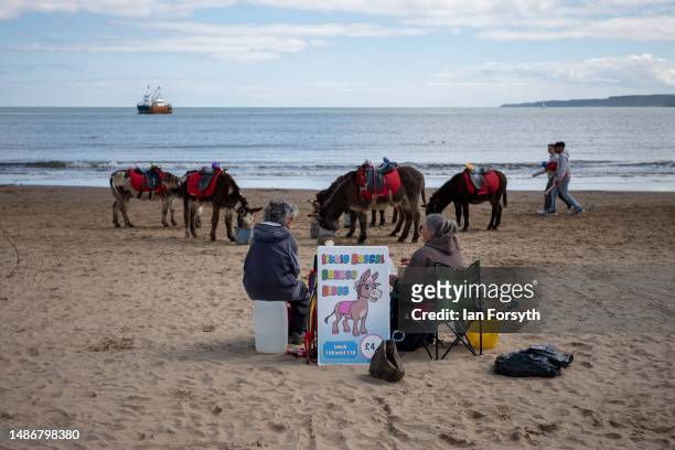 Donkeys wait on the beach to give rides as people visit Scarborough on May Day bank holiday on May 01, 2023 in Scarborough, England. The Early May...
