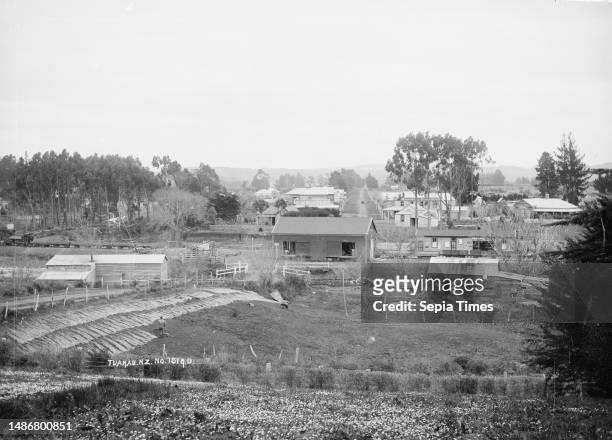 Tuakau township, Tuakau township, possibly between 1910 and 1930. In the foreground flax fibre is laid out for drying and bleaching. In the middle...