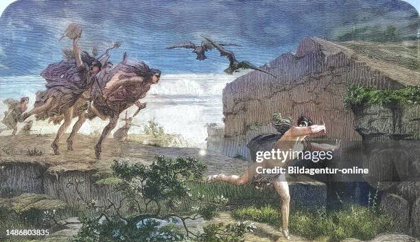 Petheus 39 Pentheus Stock Photos, High-Res Pictures, and Images - Getty Images