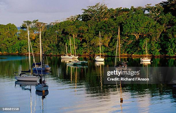 yachts on villa bay and iririki island. - shefa stock pictures, royalty-free photos & images