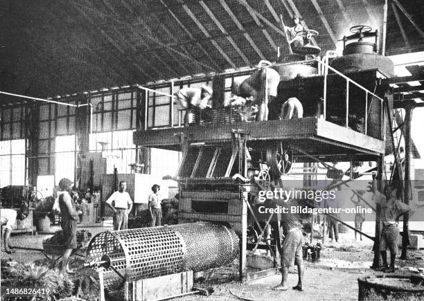 German palm oil factory in Cameroon, Historic, digitally restored reproduction of an original artwork from the early 20th century, exact original...