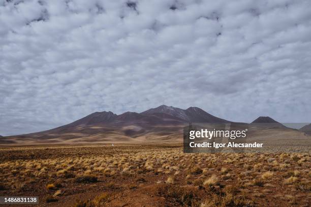 paso sico, atacama desert - região de antofagasta imagens e fotografias de stock