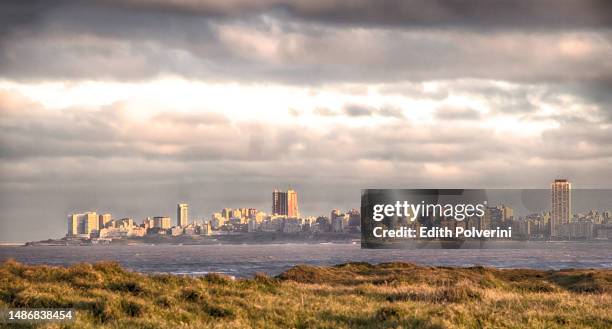 mar de plata - argentina beach stock pictures, royalty-free photos & images