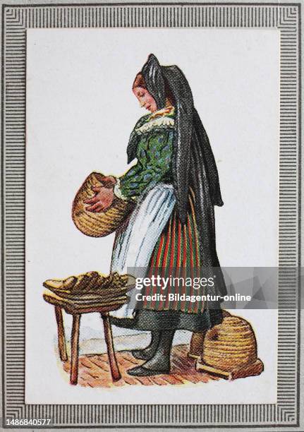 Traditional costumes in Germany in the 19th century, Hanover, peasant woman from the Aller area, historical, digitally restored reproduction of a...