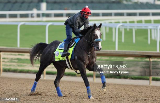 Reincarnate runs on the track during the morning training for the Kentucky Derby at Churchill Downs on May 01, 2023 in Louisville, Kentucky.