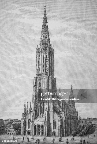 Ulm Minster, Ulmer Muenster, is a Lutheran church located in Ulm, Germany historic illustration, woodcut.