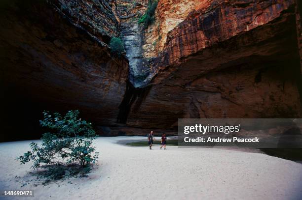 cathedral gorge. - parco nazionale di kimberley foto e immagini stock