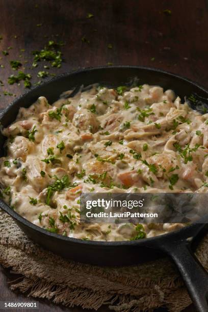 gnocchis crémeux au pâté au poulet - sauce à base de crème photos et images de collection