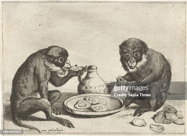 Two monkeys are sitting on the ground in front of a bowl of oysters. One is just opening an oyster with a knife, the other is slurping one inside....