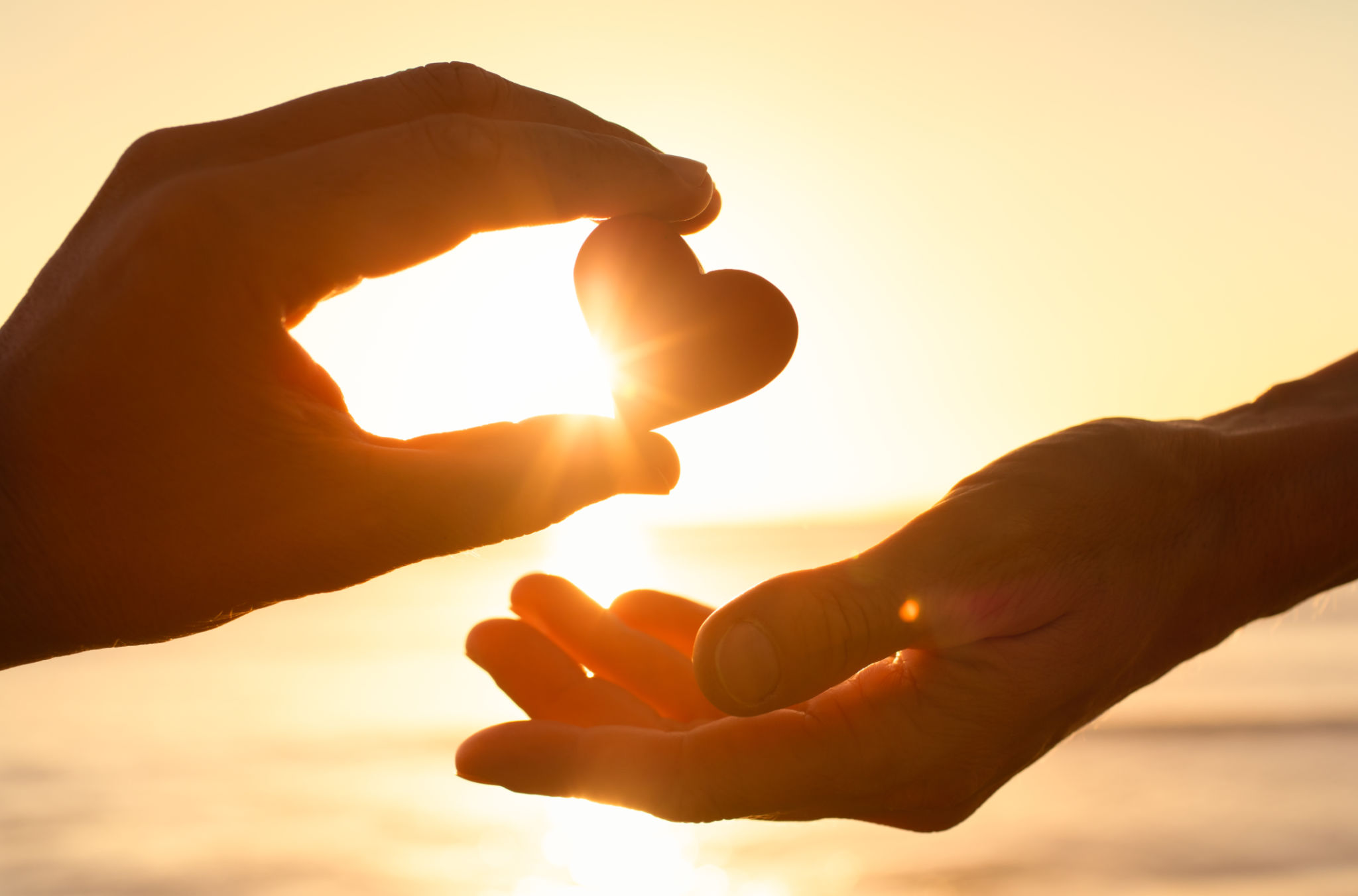 Hand giving heart love help support kindness Hand giving heart love help support kindness