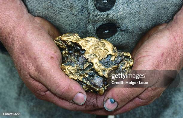 person holding gold nugget, sovereign hill. - nuggets stock pictures, royalty-free photos & images