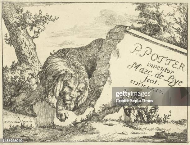 Lion near stone wall Lions , print maker: Marcus de Bye, , Paulus Potter, , publisher: Reinier Ottens & Josua, , print maker: The Hague, publisher:...