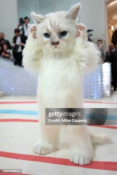 Jared Leto, dressed as Karl Lagerfeld's cat Choupette, attends The 2023 Met Gala Celebrating "Karl Lagerfeld: A Line Of Beauty" at The Metropolitan...