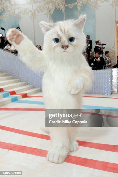 Jared Leto, dressed as Karl Lagerfeld's cat Choupette, attends The 2023 Met Gala Celebrating "Karl Lagerfeld: A Line Of Beauty" at The Metropolitan...