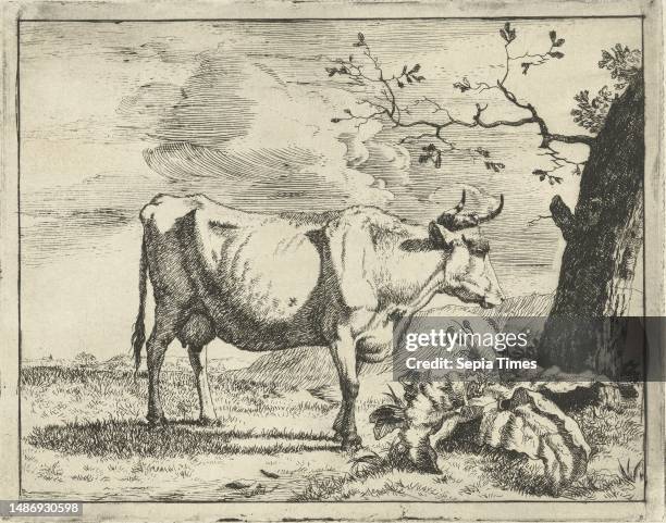 Cow standing by tree Cattle and pigs , print maker: Marcus de Bye, Paulus Potter, The Hague, 1657 - c. 1677, paper, etching, h 117 mm × w 148 mm.