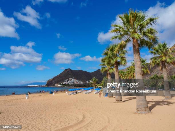 playa de las teresitas in tenerife, the largest of the canary islands - teneriffa bildbanksfoton och bilder