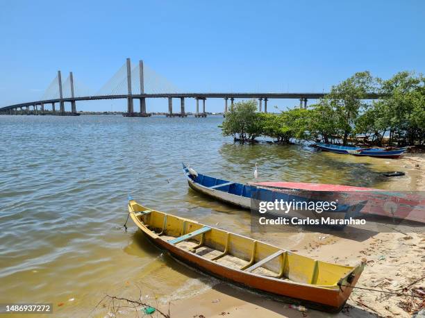 sergipe river landscape in northeastern brazil - brasil sergipe aracaju foto e immagini stock