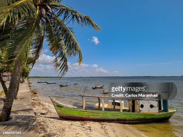 sergipe river landscape in northeastern brazil - aracaju stock pictures, royalty-free photos & images