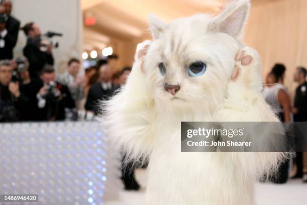 Jared Leto dressed as Karl Lagerfeld's cat Choupette, attends The 2023 Met Gala Celebrating "Karl Lagerfeld: A Line Of Beauty" at The Metropolitan...