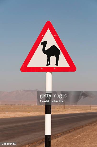 camel crossing sign. - camel crossing sign stock pictures, royalty-free photos & images