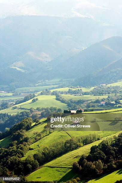 hill country farms near espelette. - espelette france imagens e fotografias de stock