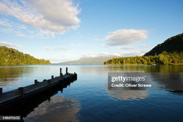 the landing, lake tarawera. - rotorua stockfoto's en -beelden