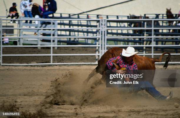 Bulldogging Bulldogging Photos and Premium High Res Pictures - Getty Images