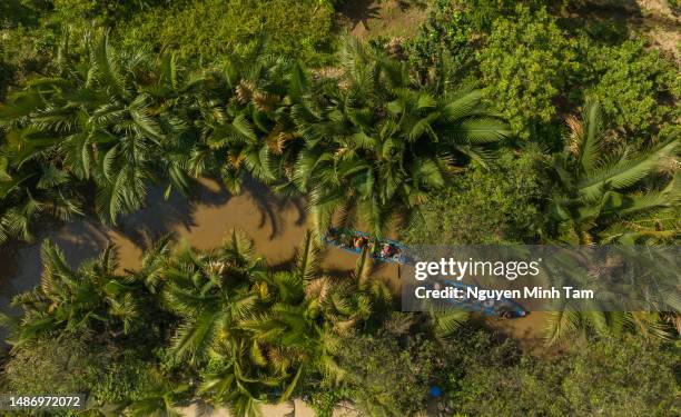tourists rowing boats to enjoy the scenery on the canal in thoi son island, tien giang province - sampana imagens e fotografias de stock