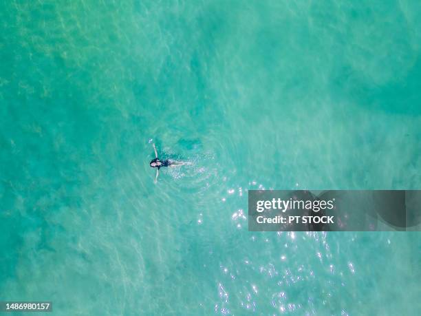 aerial view. a woman in a bikini floats in the emerald green sea so clear that the sand below is visible. - sunbathing aerial stock pictures, royalty-free photos & images