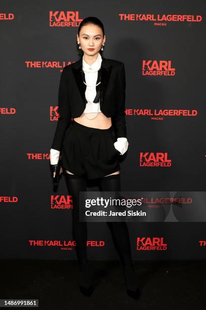 Guest attends the Karl Lagerfeld Met Gala After Party at The Mark Hotel on May 01, 2023 in New York City.