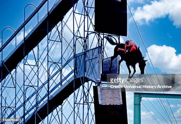 Diving Horse, Steel Pier, Atlantic City, New Jersey Vintage Travel Photograph.