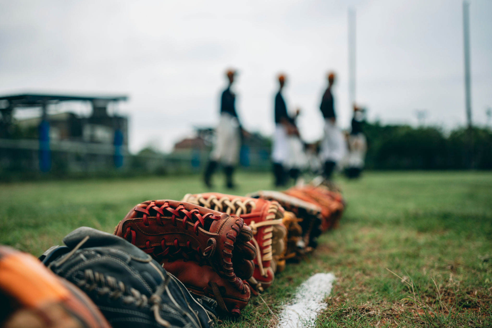 baseball community