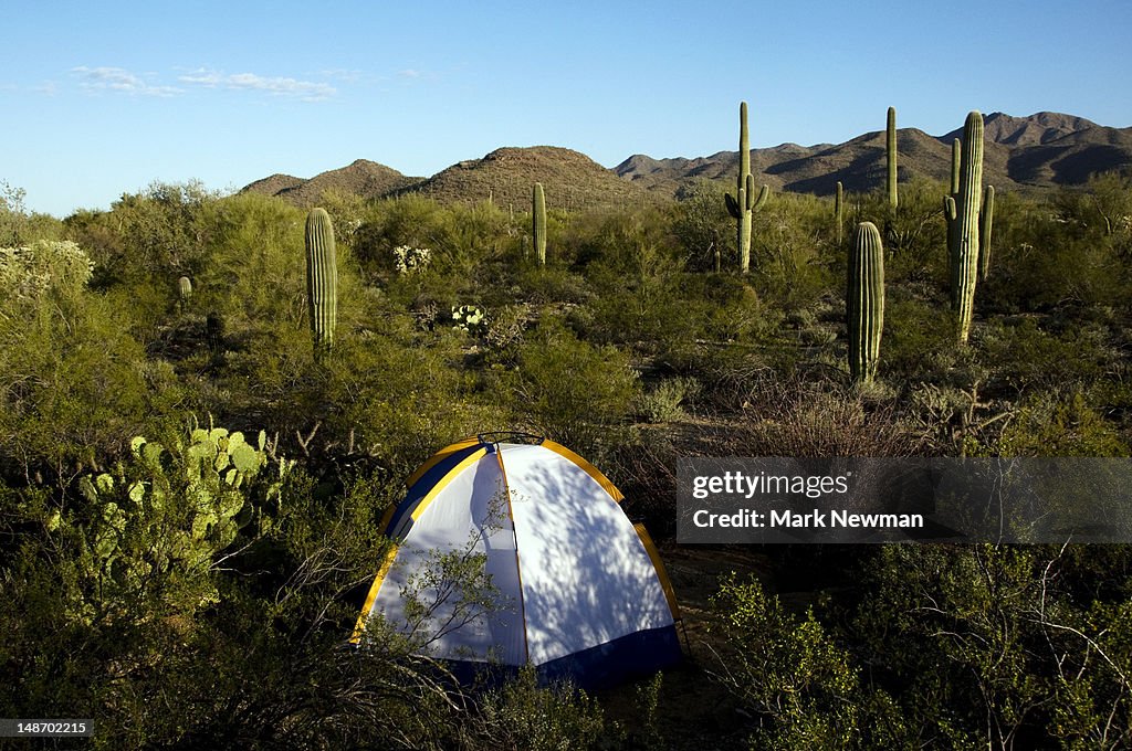 Camping at Gilbert Ray campground in Tucson Mountain Park.