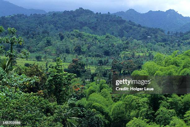 Portland Ridge Portland Jamaica Photos and Premium High Res Pictures - Getty Images
