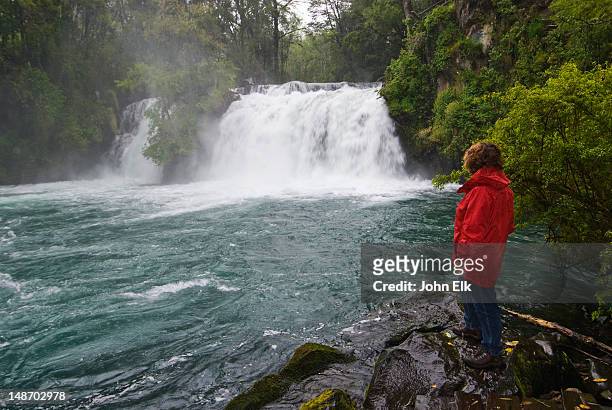 hiker at ojos del caburgua waterfall. - ojos stock pictures, royalty-free photos & images