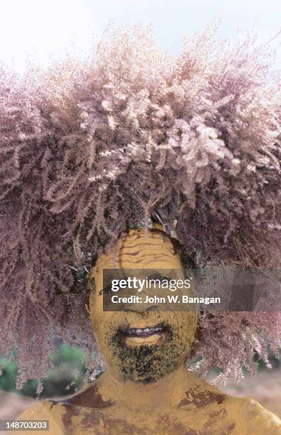 sing sing group member with painted face and bushy hair at mt hagen cultural show. - bushy stock pictures, royalty-free photos & images