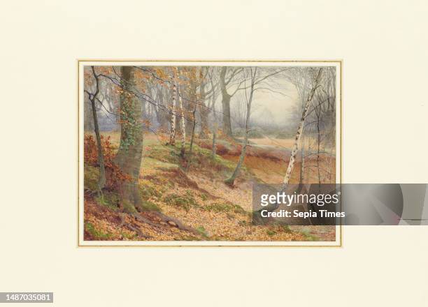 Silver Birch and Beech Wood in Autumn, James T. Watts , Tree, Landscape, Watercolour, Season, Autumn, Countryside, Forest.