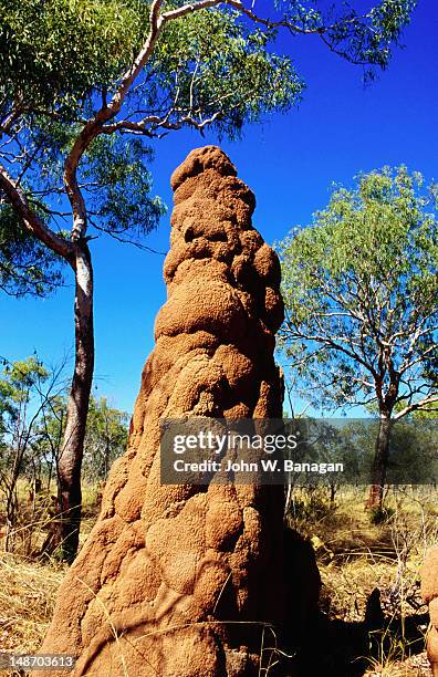 106 Mound Shape Stock Photos, High-Res Pictures, and Images - Getty Images