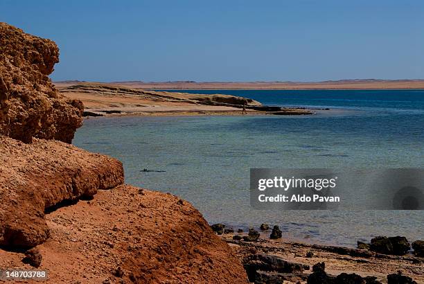 coast along the red sea (gulf of aqaba). - mar rosso foto e immagini stock