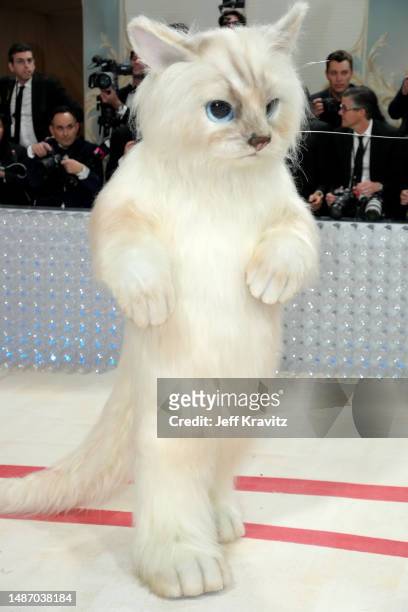 Jared Leto, dressed as Choupette, attends the 2023 Met Gala Celebrating "Karl Lagerfeld: A Line Of Beauty" at Metropolitan Museum of Art on May 01,...