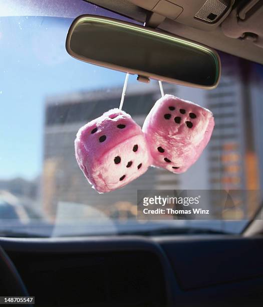 134 Furry Dice Stock Photos, High-Res Pictures, and Images - Getty