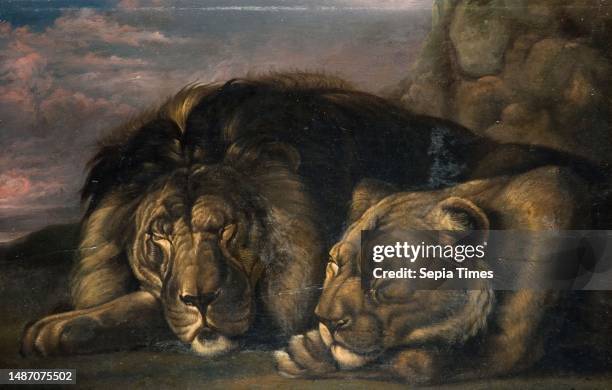 Sleeping Lion and Lioness 1823-1830 Samuel Raven, Oil Painting, Animal, Cat, Animal.