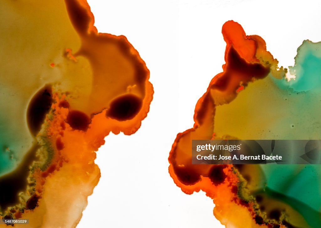 Abstract background, drops of orange and green liquid slide and mix on a white canvas.