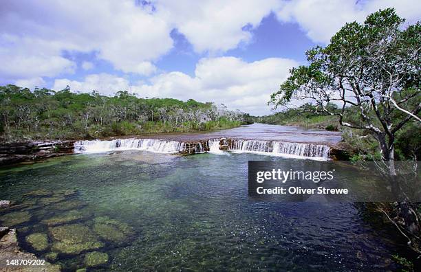 fruit bat falls in the northern tip of cape york peninsula - cape york stock pictures, royalty-free photos & images