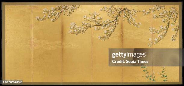 Cherry right of a pair of Cherry and Willow, first half 17th century, Hasegawa School, 64 × 141 3/4 in. 70 1/4 × 148 1/4 × 5/8 in. , Color, gold...