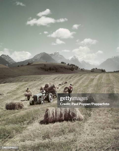 Farm workers load bales of freshly cut and harvested hay onto a tractor trailer in a field on a farm located within the Dart River Valley in the...