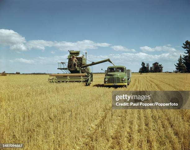 Combine harvester unloads its harvest of wheat into a waiting truck during harvest time on an arable farm in the Canterbury region of the South...