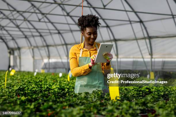 a young african woman holds a laptop while he checks the progress of the growth of potted flowers. - african farming tools stock pictures, royalty-free photos & images