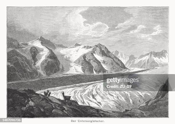 lower aare-glacier (unteraargletscher), switzerland, wood engraving, published in 1877 - chamois stock illustrations